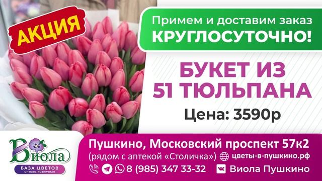 ТРАНСМЕДИА – База Цветов "Виола"