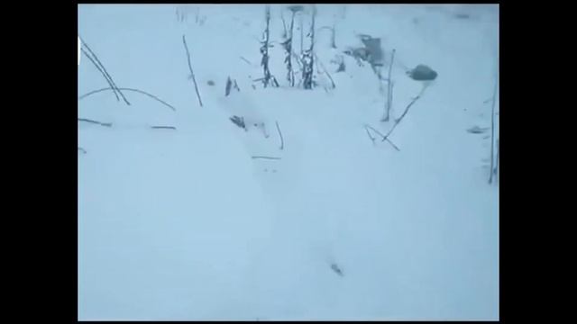 Кадры крушения самолета АН-148 в Подмосковье 11.02.2018