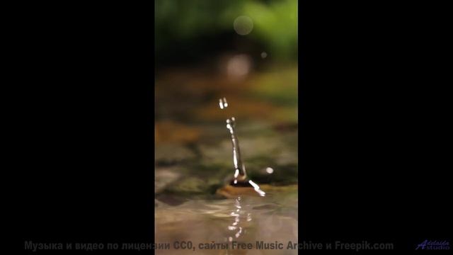 Он настолько прекрасен, что хочется плакать от счастья! - The Milky Way -- HoliznaCC0 -- An Ocean In