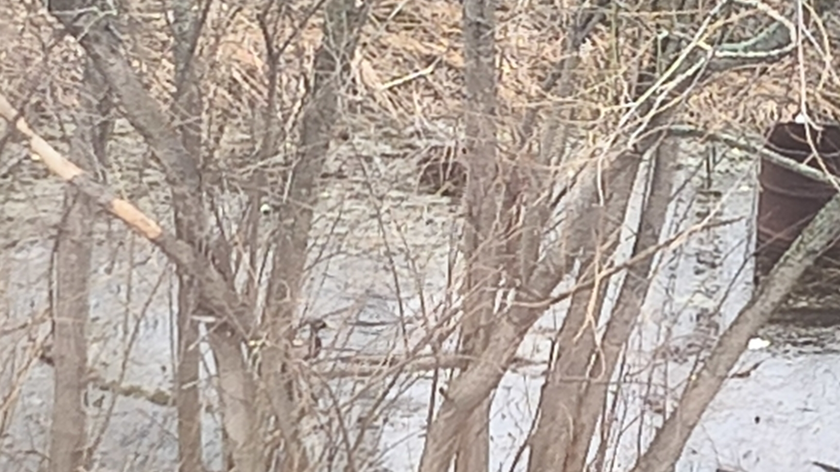 УТОЧКИ ПЛАВАЮТ 🦆🦆