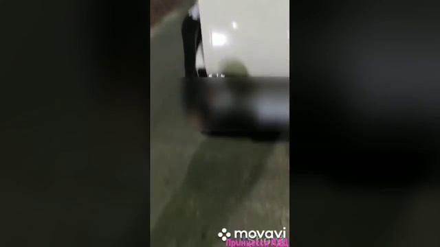 УзГАИ. Стоп хам от принцессы ПДД