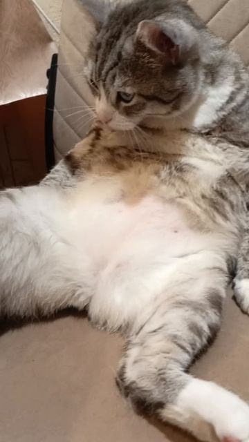 Мужик с ночной смены пришел