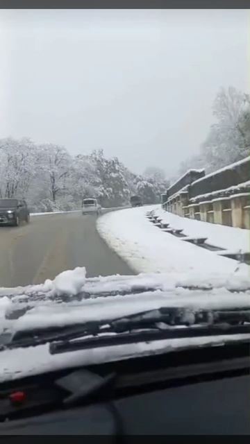 Снежная