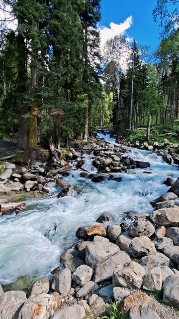 Красивая река