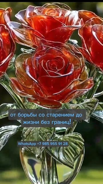 Жить мечтой