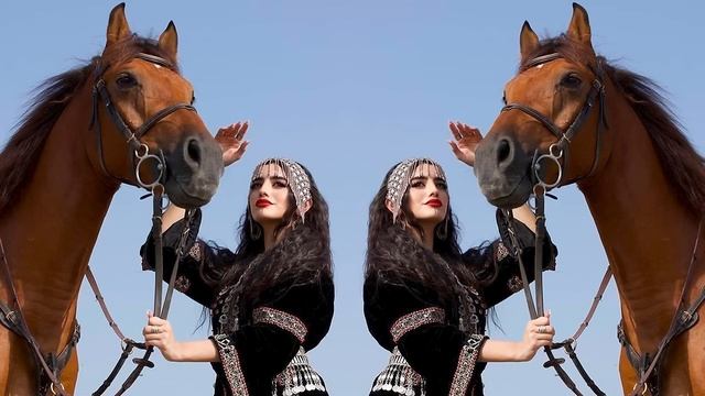 Arabic Remix  (TREND ARABIC REMIX MUSIC 2025)