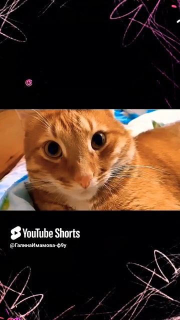 1000032873.mp4