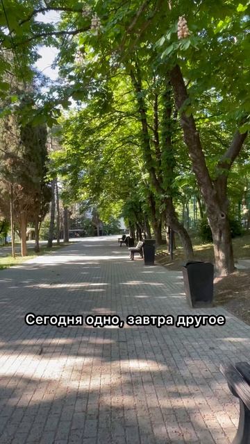 В общем#shorts