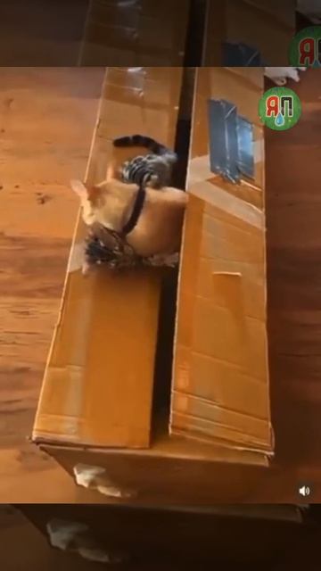 Оно.mp4