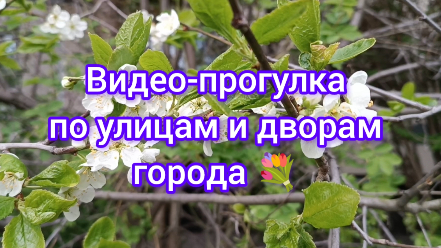 Видео-прогулка по улицам и дворам города 💐 23.05.25
