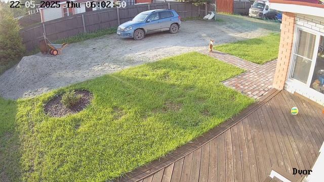 Hiwatch DS-I402.mp4