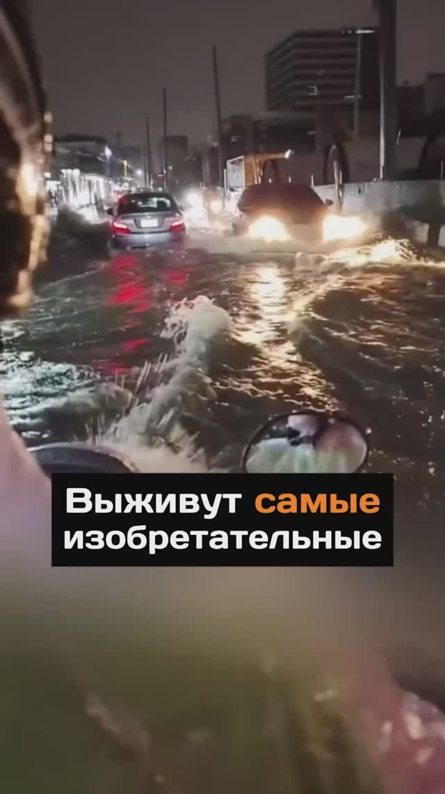 Выживут самые изобретательные