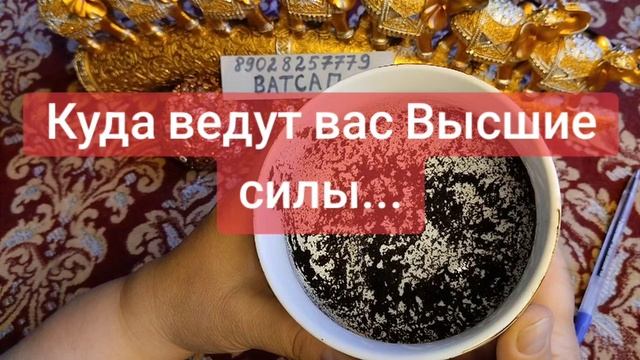 КУДА ВЕДУТ ВАС ВЫСШИЕ СИЛЫ?🥰💞💖💓💗🌹💕89028257779