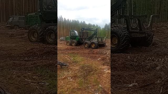 харвестор и форвайдер