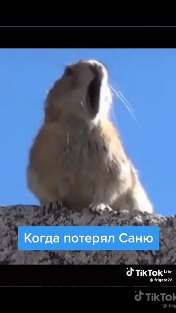 саня