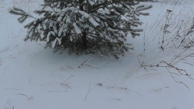 Охота на зайца.  Выпуск 15. С лёжки! Сезон 2017-2018г.