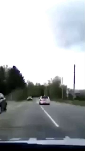 Во Владимирской области полицейские остановили стрельбой пьяного водителя
