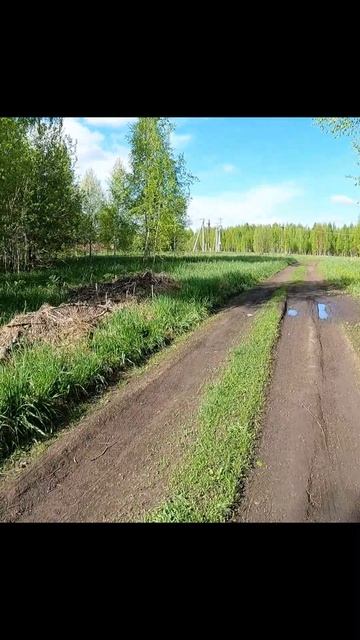 Бег, я и природа.
