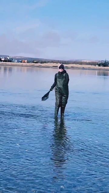 23 мая 2025 год. Магадан, Ольский Лиман, ловим селёдку руками!🐟💙😁