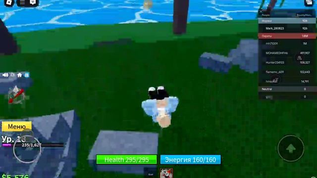 Я играю в ,blox fruts. в roblox.