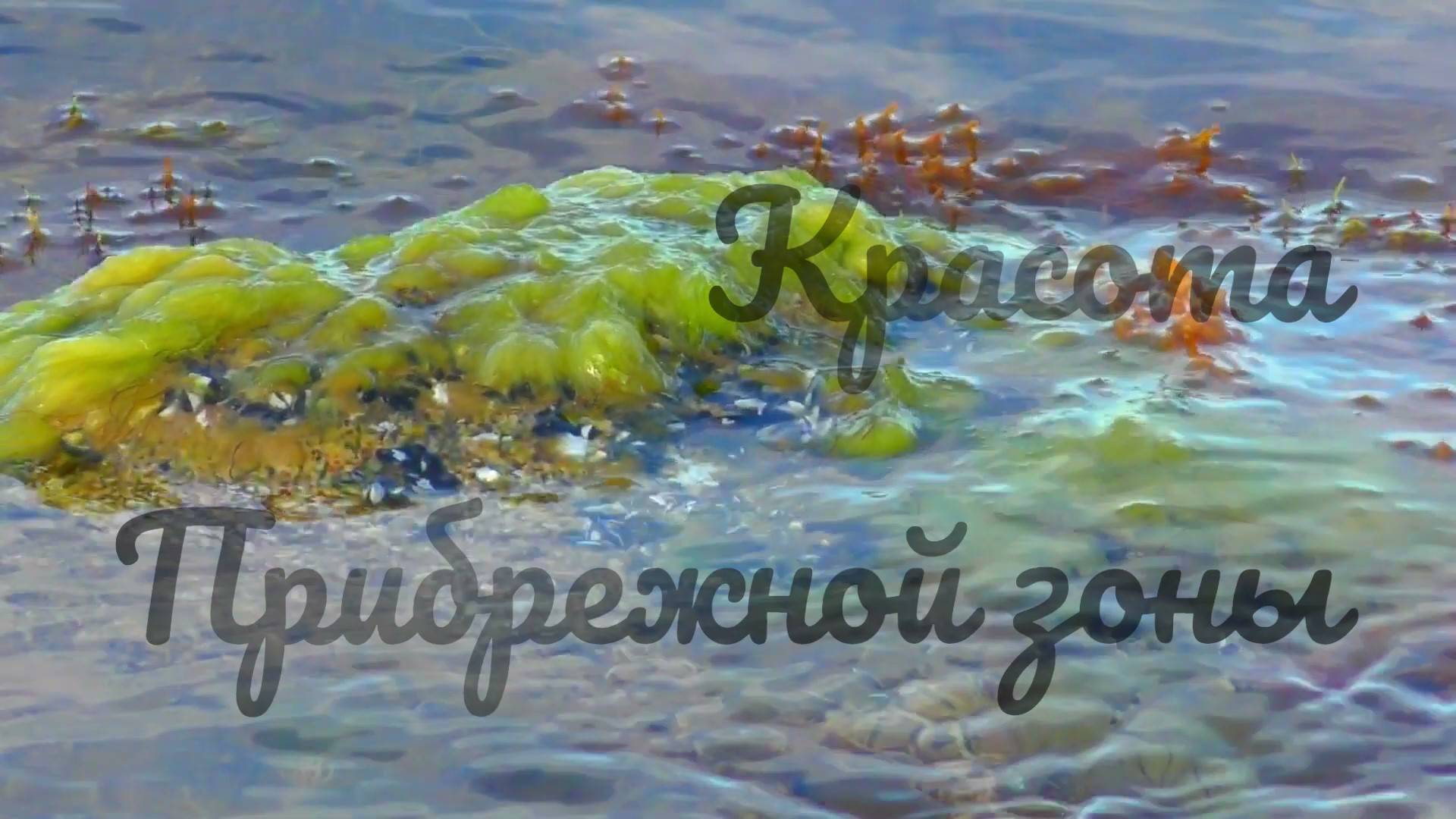 Красота прибрежной зоны