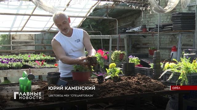 В Орле в этом году высадят 350 тысяч растений