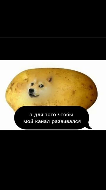 Подпишись пожалуйста