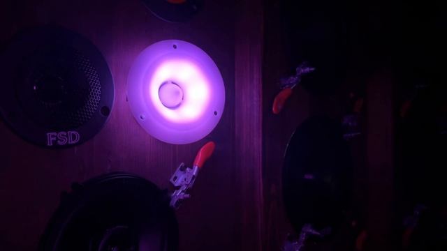 Яркий, Сияющий Dl Audio Barracuda Tweeter SE V.2. Рупор который точно привлечет внимание!!