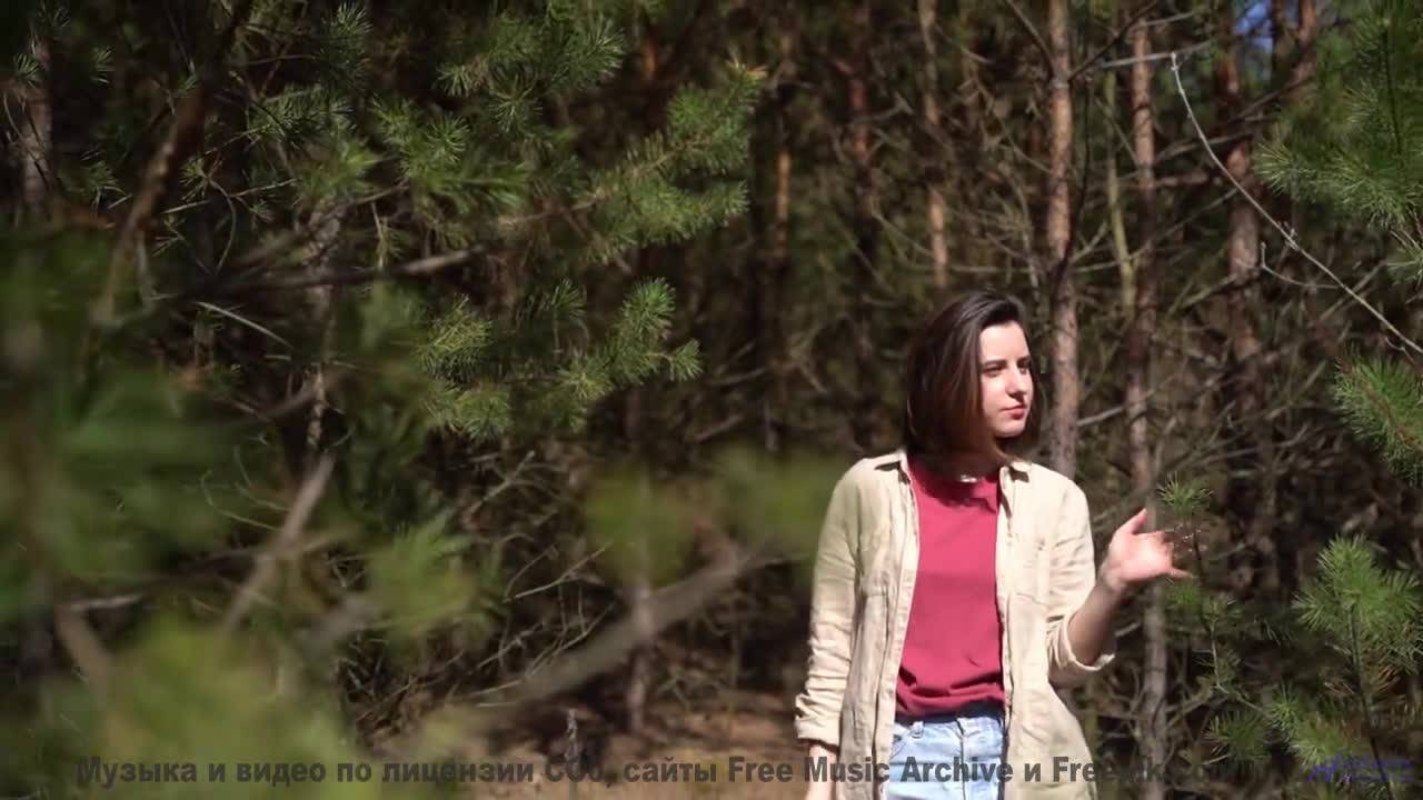 Это видео - лекарство от всех грустных дней! - At the Countryside -- Crowander -- Uplifting Funband