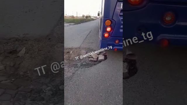 В Астрахани водитель «синего» автобуса самостоятельн