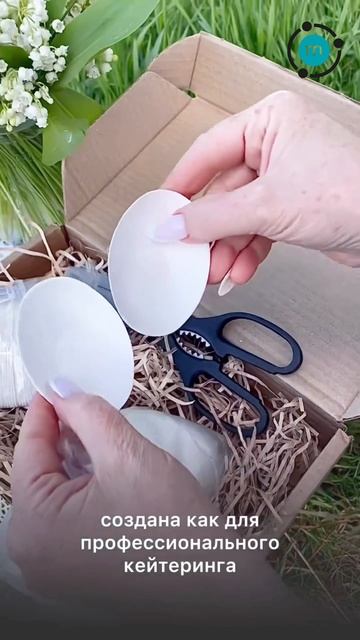 Подача блюд с посудой MolecularMeal (пипетки на WB: 74527182, ложки: 117138657, листики: 170728110)