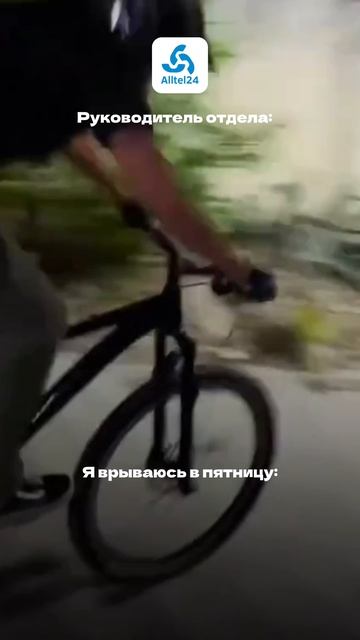 Закрыли все задачи?😂