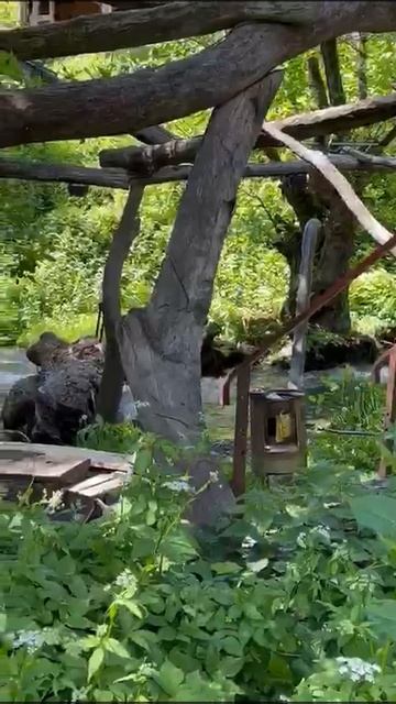 Участок у Моря Красная поляна