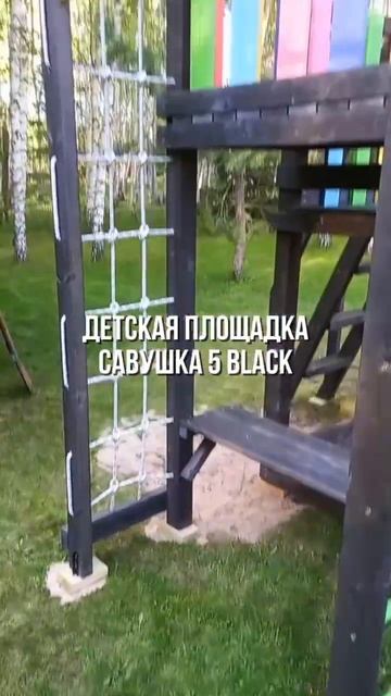 Детская площадка Савушка 5 (BLACK)