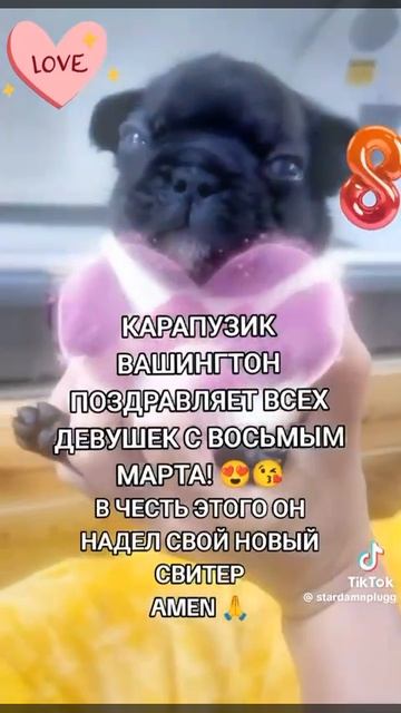 мопсэ