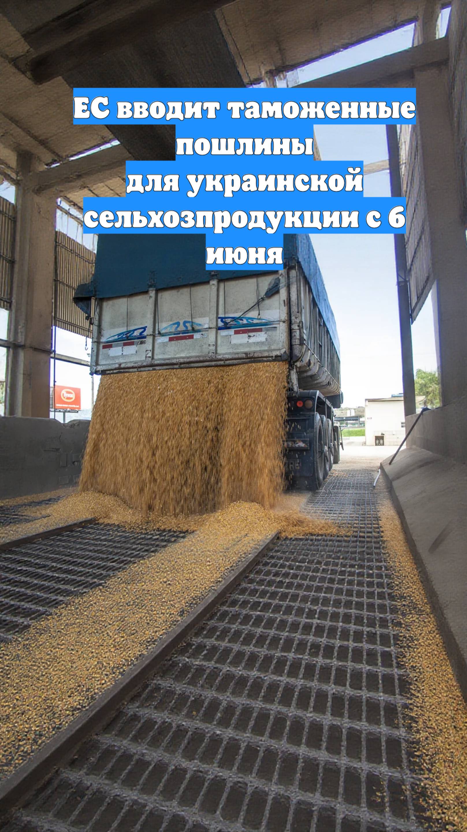 ЕС вводит таможенные пошлины для украинской сельхозпродукции с 6 июня