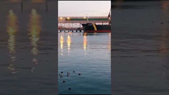 Уточки Дин динь динь