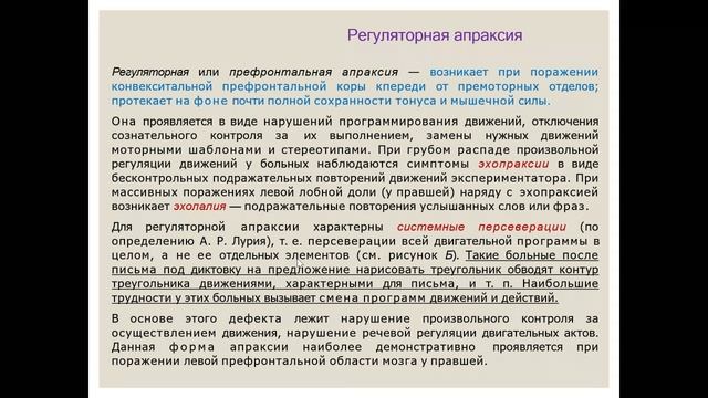 Введение в нейропсихологию: нарушение движений. Разбор кейса