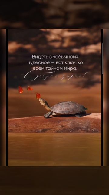 Доброе утро #доброеутро #благодарность