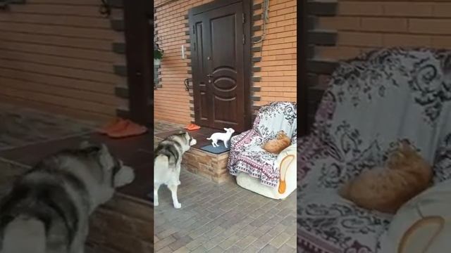 привет от Беларуси и её прекрасной семьи из Краснодар?
