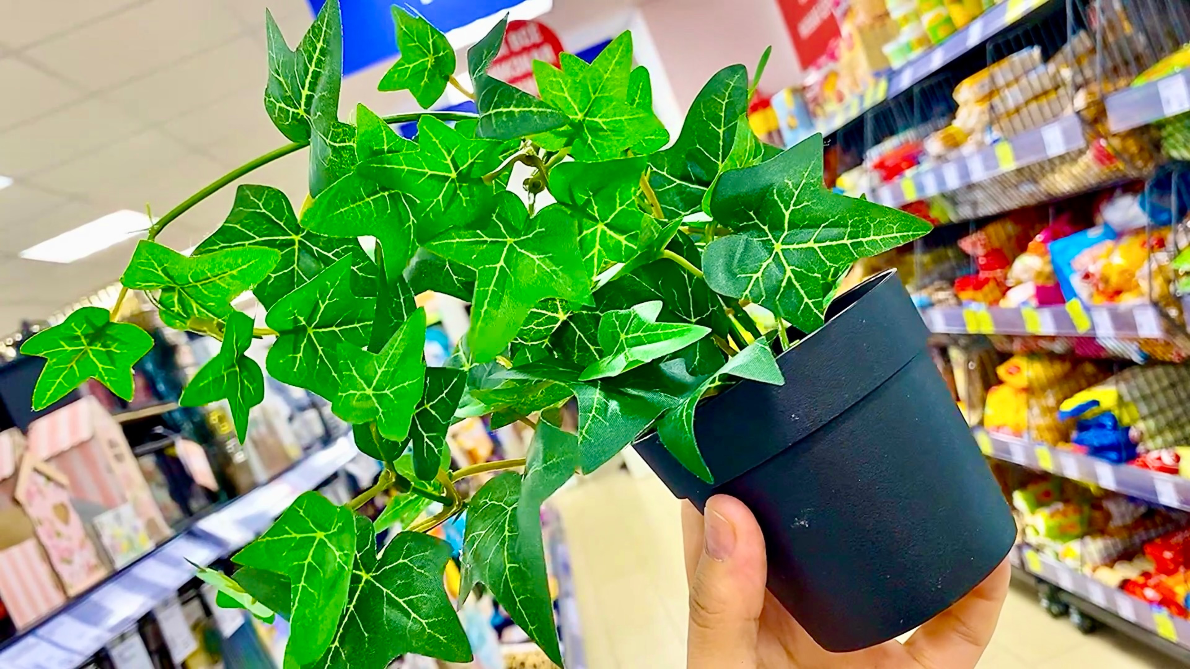 Интересные НОВИНКИ в Фикс прайс 👌Общор полочек🛍️ Все для дома и кухни 🫙🧂🪴🫕