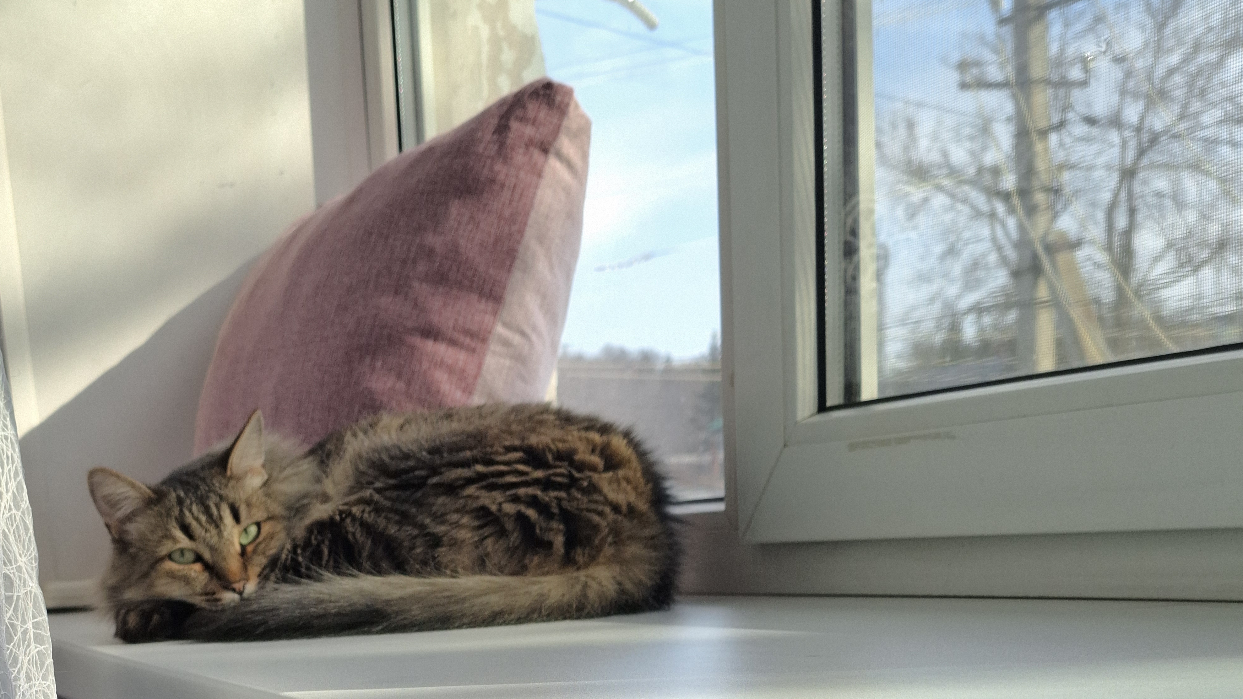 🐈⬛23-05-2025