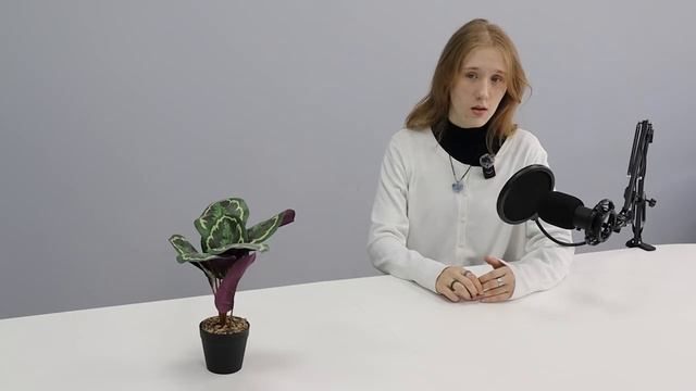 Прогноз культурных событий 05.05-11.05 | FLICKER prod.