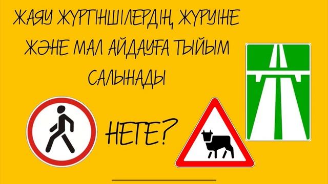 АВТОМАГИСТРАЛЬ ЖАЙЛЫ ТҮСІНІК.МЕКСИКАДАҒЫ СҰМДЫҚ ЖОЛ ?