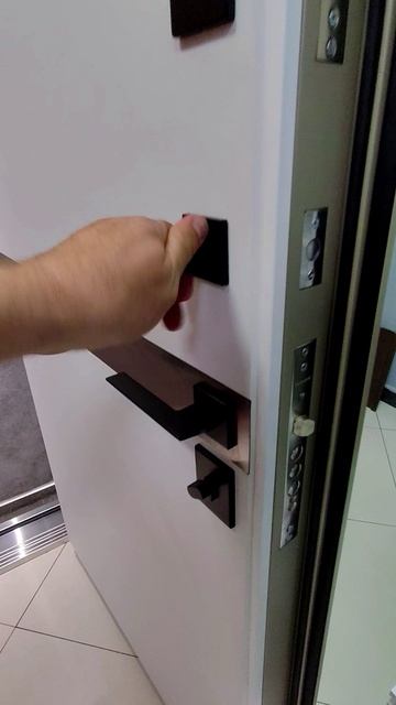 Входная дверь в квартиру DK35 duplex