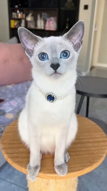 Красотка❤️