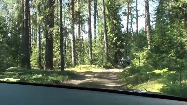 Размышления в пути Переезд на юг, выбор района