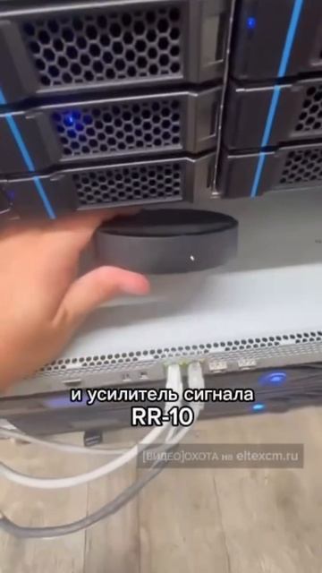Стойка с оборудованием Eltex: WLC-30, RR-10. Видео[Охота] на eltexcm.ru