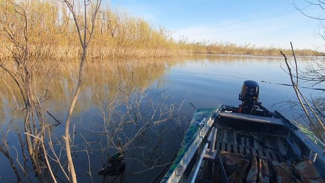 В засаде