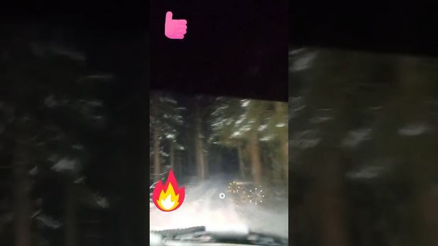 1000003798.mp4